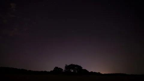 Beautiful time lapse of a starry sky moving over trees in sand dunes Stock Footage 282340220
