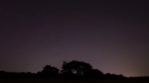 Beautiful time lapse of a starry sky moving over trees in sand dunes - medium Stock Footage 282342156