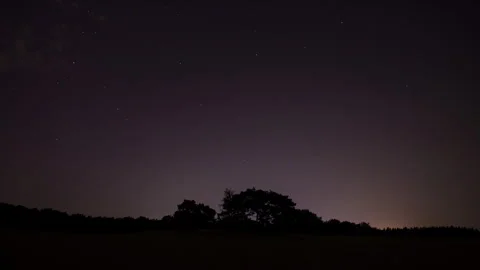 Beautiful time lapse of a starry sky moving over trees in sand dunes Stock Footage 282343398