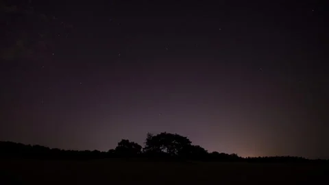 Beautiful time lapse of a starry sky moving over trees in sand dunes - tilt down Stock Footage 282348437