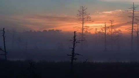A beautiful time lapse of a sunrise in the foggy bog with Copy space Stock Footage