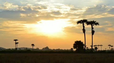 Beautiful time lapse sunset in countryside Stock Footage 21258376