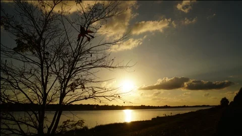 Beautiful time lapse sunset at the river Stock Footage 102664644