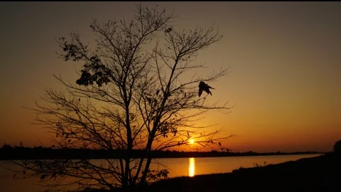 Beautiful time lapse sunset at the river Stock Footage 102664826