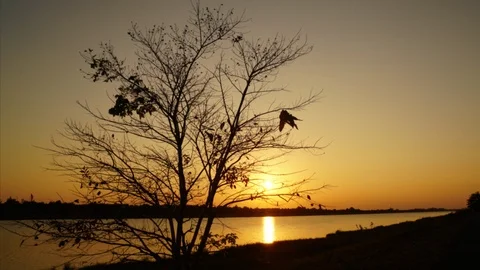 Beautiful time lapse sunset at the river Stock Footage 102664865