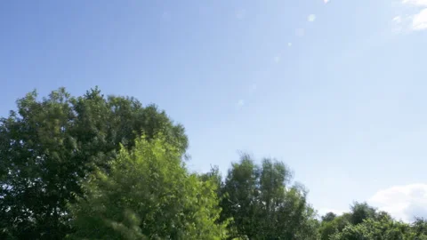 Beautiful timelapse of clouds and trees with the camera panning left Stock Footage 318296326