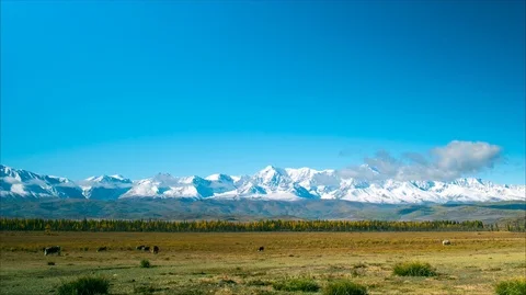 Beautiful timelapse. Clouds float above snow-capped mountain peaks. A herd of Stock Footage 102499543