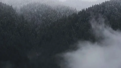 A beautiful timelapse of clouds in the forest Video stock 238745784