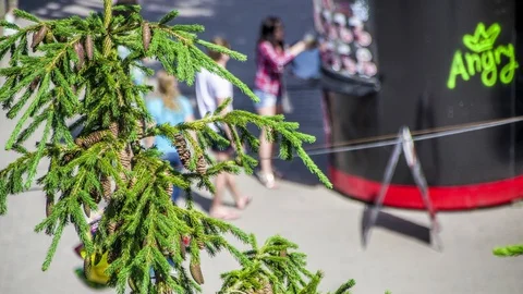 Beautiful timelapse for a crowd of people Stock-Footage 129533592