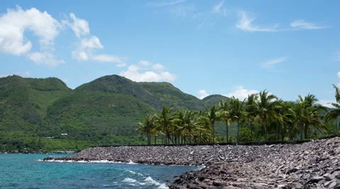 Beautiful timelapse with palm trees, clouds and the sea Stock Footage 65290330