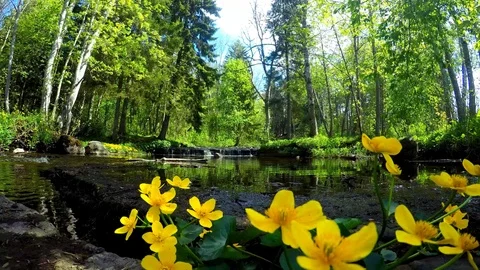 A beautiful timelapse with a river Video stock 94622415