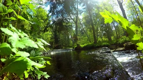 A beautiful timelapse with a river Video stock 94623253