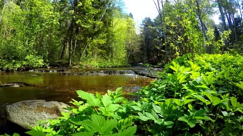 A beautiful timelapse with a river Video stock 94623637