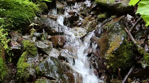 Beautiful tiny brook with cold water Stock Footage 42334014