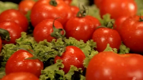 Beautiful Tomatoes Stock Footage 76471424