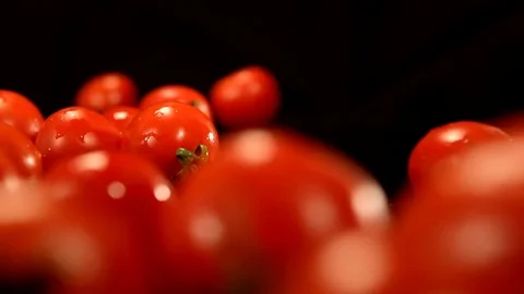 Beautiful Tomatoes Stock Footage 76471615