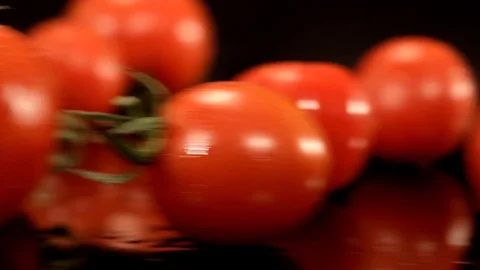 Beautiful Tomatoes Stock Footage 76472037