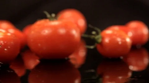 Beautiful Tomatoes Stock Footage 76473951