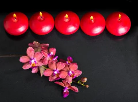 Beautiful top down spa concept of twig red orchid flower, phalaenopsis with w Foto stock