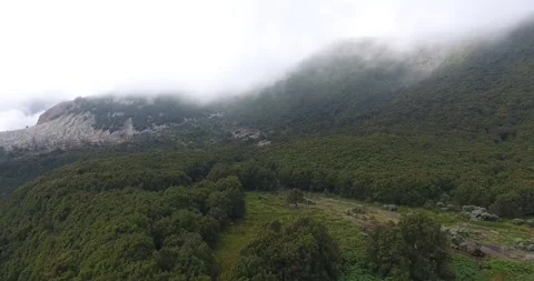 Beautiful top view Papandayan mount Stock Footage 245321427
