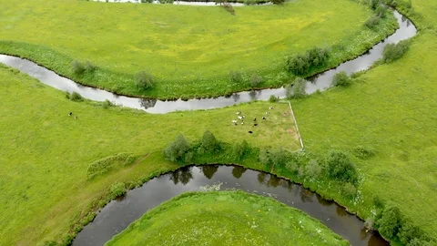 Beautiful top view of a winding river Video stock 113388745