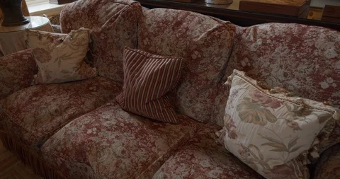 Beautiful Traditional Sofa In Patterned Red Fabric 스톡 동영상 107557025