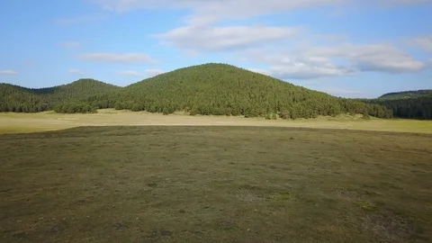 Beautiful Tranquil Grass Field Mountain Background Pine Forest Drone View Video stock 119889231