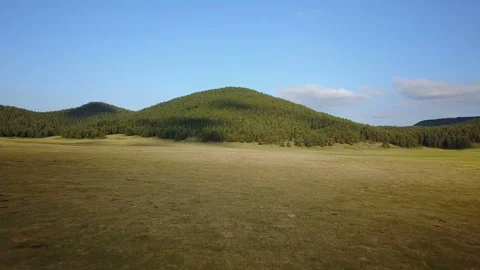 Beautiful Tranquil Grass Field Mountain Background Pine Forest Drone View Video stock 119889342