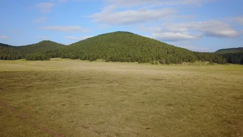 Beautiful Tranquil Grass Field Mountain Background Pine Forest Drone View Stock Footage 119890613