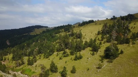 Beautiful Tranquil Green Mountain Background Nobody Pine Forest Drone View Stock Footage 119889157
