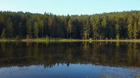 Beautiful Tranquil River Coast Reflection Pine Forest Hill Drone View Stock Footage 119889645