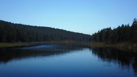Beautiful Tranquil River Coast Reflection Pine Forest Hill Drone View Video stock 119889658