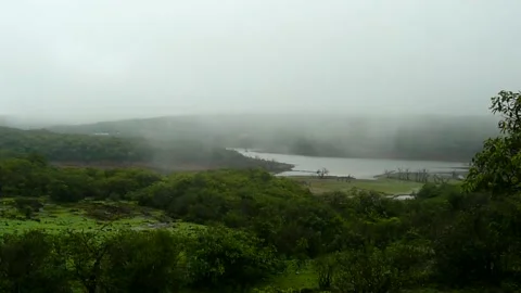 Beautiful tranquil scene Cloudy Forest Mountain Landscape Mahabaleshwar India Video stock 155983395