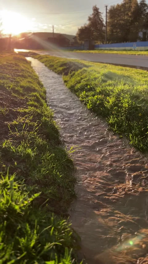 A Beautiful Tranquil Stream at Sunset Surrounded by Lush Greenery and Natural Stockbeeldmateriaal 306077885