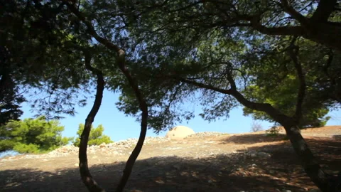 A beautiful transition from a pine forest to a sunny meadow to an ancient mosque Stock Footage 117470912