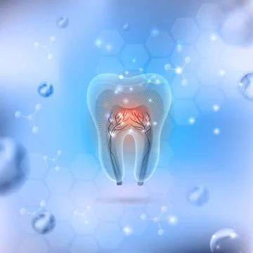 Beautiful transparent tooth cross section Stock Illustration