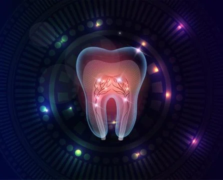Beautiful transparent tooth cross section Illustrazione stock