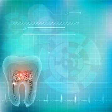 Beautiful transparent tooth cross section Illustrazione stock