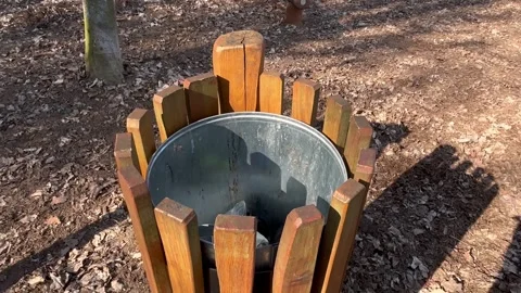 A beautiful trash can in the forest Stock Footage 304609045