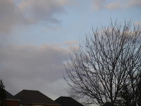 Beautiful Tree and Cloud Timelapse Stock Footage 74586370