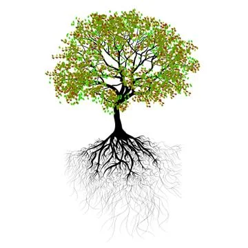 Beautiful tree Stock Illustration