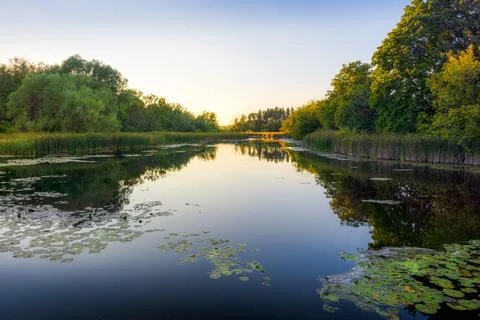 Beautiful Tree Lined Pond Foto stock