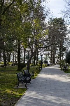 Beautiful tree-lined walking path with vintage benches in a park in Sochi Stock Photos