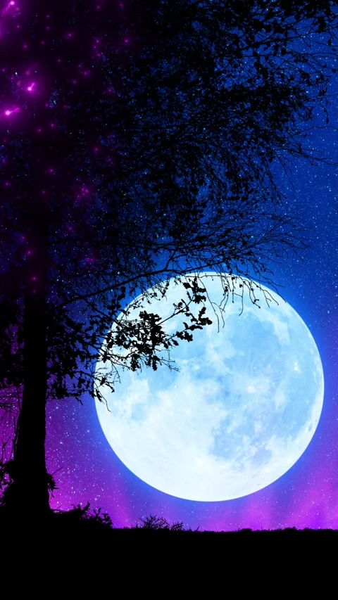 Beautiful Tree with Moon Landscape Stock Footage 305787158