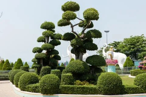 Beautiful tree in the park Stock Photos