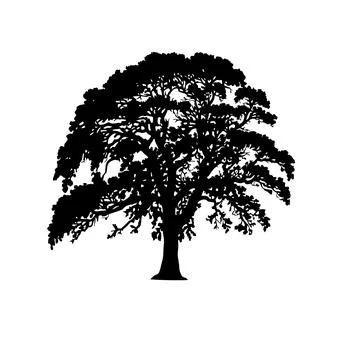 A BEAUTIFUL TREE silhouette Stock Illustration
