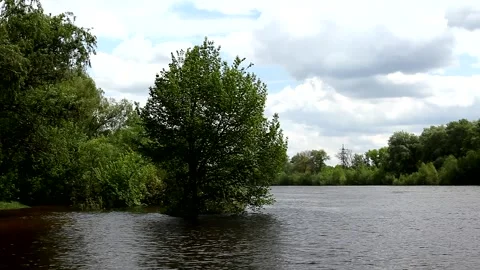 Beautiful Tree standing alone on the flooded bank of the river. Stock Footage 197568712