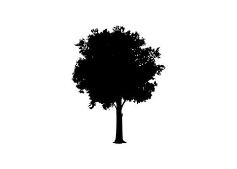 Beautiful tree vector silhouette icon vector illustration, logo template Stock Illustration