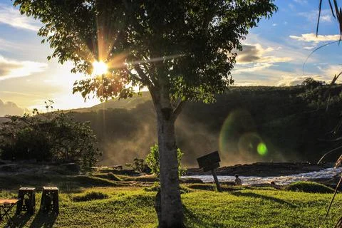 Beautiful tree while you see flashes of sun behind Stock Photos