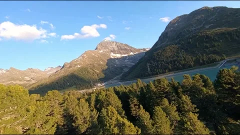 Beautiful Trees and Landscape in Nature Video stock 214161453